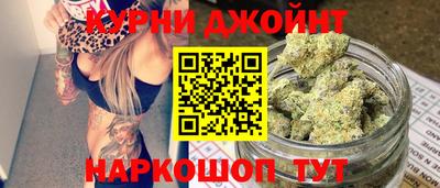 сатива Новодвинск