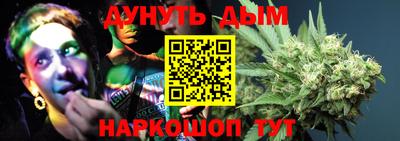 сатива Новодвинск