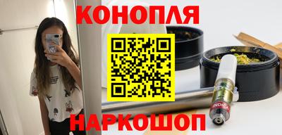сатива Новодвинск