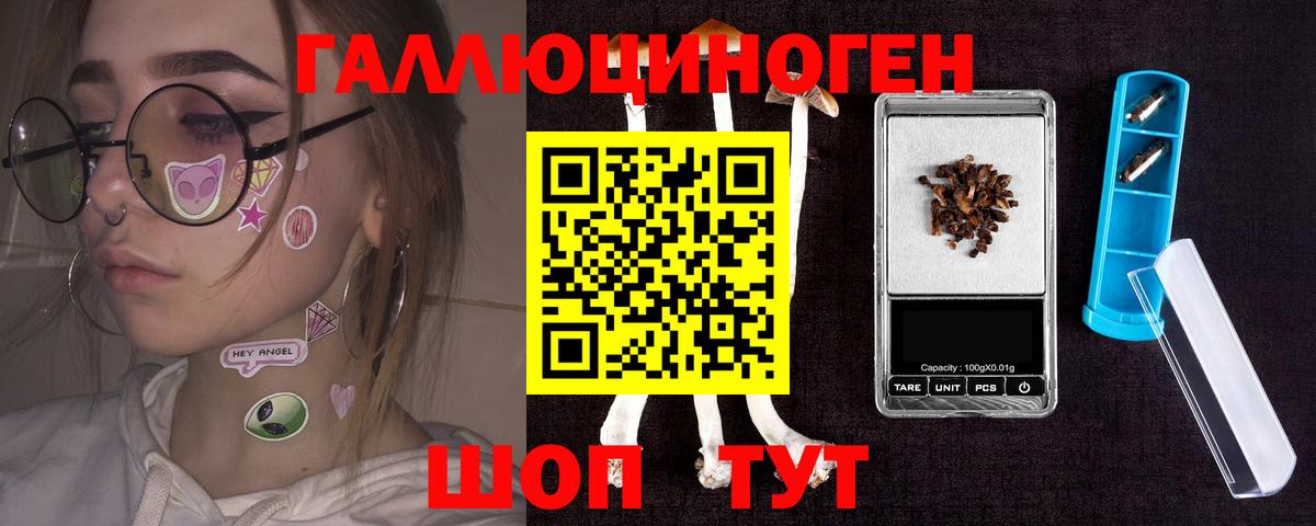 Галлюциногенные грибы прущие грибы Петропавловск-Камчатский