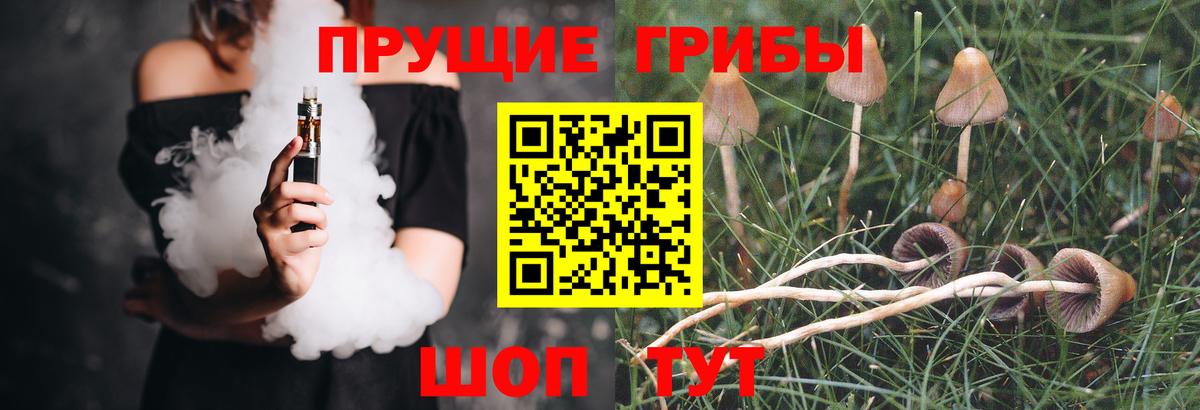 Галлюциногенные грибы GOLDEN TEACHER  Вход с VPN  наркошоп  Петропавловск-Камчатский 